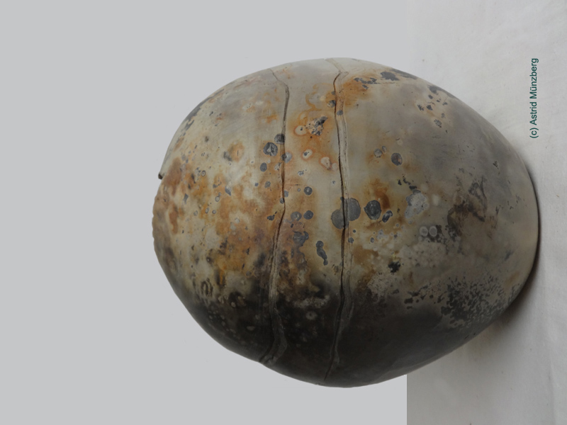 Vase Grubenbrand
